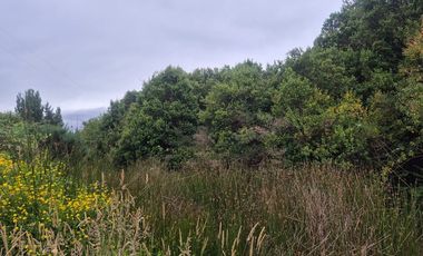 VENTA PARCELA 5000 m, PUQUELDON, ISLA LEMUY