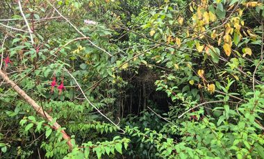 VENTA PARCELA 5000 m, PUQUELDON, ISLA LEMUY