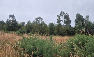 VENTA PARCELA 5000 m, PUQUELDON, ISLA LEMUY