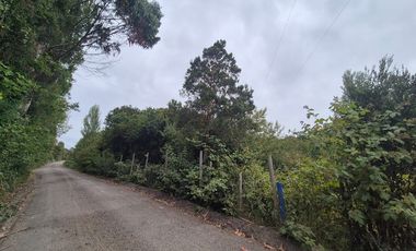 VENTA PARCELA 5000 m, PUQUELDON, ISLA LEMUY