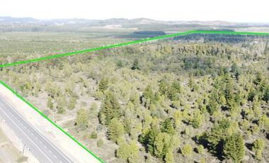 Terreno de 13,78 há con subdivisión aprobada