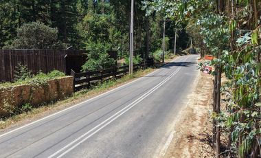 Entre mar y bosque Puertecillo