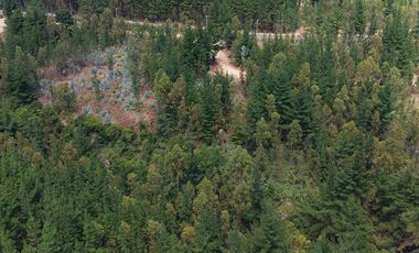 Entre mar y bosque Puertecillo