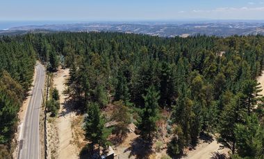 Entre mar y bosque Puertecillo