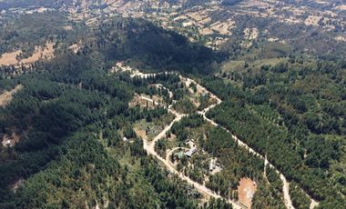 Entre mar y bosque Puertecillo