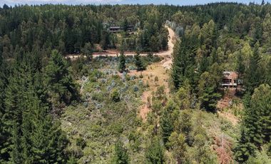 Entre mar y bosque Puertecillo