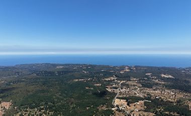 Entre mar y bosque Puertecillo