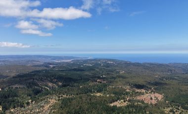 Entre mar y bosque Puertecillo