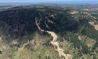 Entre mar y bosque Puertecillo