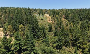 Entre mar y bosque Puertecillo