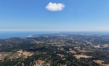 Entre mar y bosque Puertecillo
