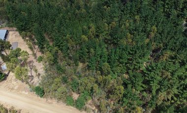 Entre mar y bosque Puertecillo