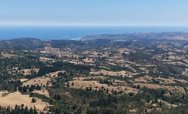 Entre mar y bosque Puertecillo