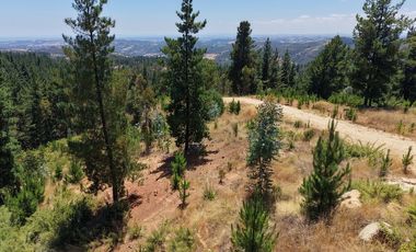Entre mar y bosque Puertecillo