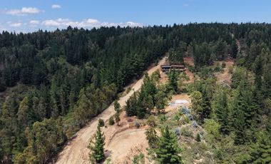 Entre mar y bosque Puertecillo