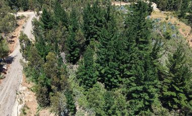 Entre mar y bosque Puertecillo