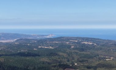 Entre mar y bosque Puertecillo