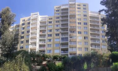 HORCÓN BAHÍA PELICANOS