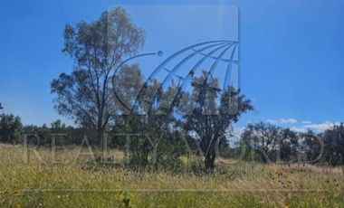 Terrenos en Venta en Sin Colonia