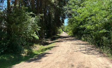Casa - Barrio Los Pinos
