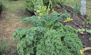 Venta Terreno 2007m2 en Barrio Chacras Pampa San Vicente Financiacion