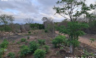 VENTA DE 9 HECTAREAS EN VILLA RETIRO