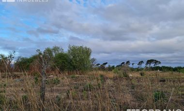 VENTA DE 9 HECTAREAS EN VILLA RETIRO