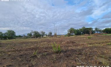 VENTA DE 9 HECTAREAS EN VILLA RETIRO