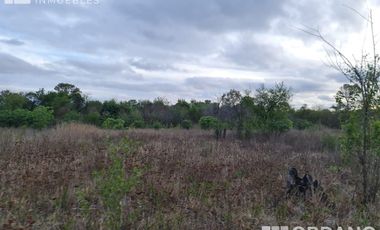 VENTA DE 9 HECTAREAS EN VILLA RETIRO