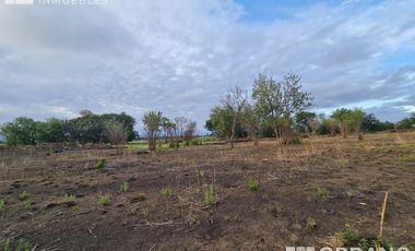 VENTA DE 9 HECTAREAS EN VILLA RETIRO