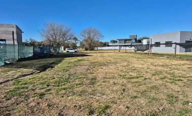 Terreno en Alqarias Siete Soles