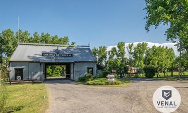 Venta Casa 6 ambientes, depen, Barrio Colonia De Chacras, Los Cardales, 6000 m2, 262 m2 cubiertos