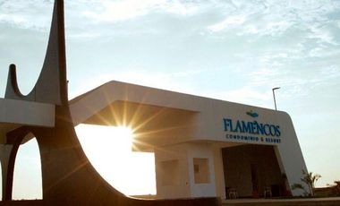 VENTA DE TERRENO URBANO 707 M² EN AV. PANAMERICANA NORTE — HUACHO, LIMA
