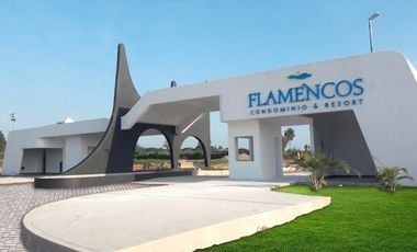VENTA DE TERRENO URBANO PARA CASA DE CAMPO / PLAYA — HUACHO, LIMA