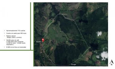 Vendo Finca productiva de 550 cuadras en venta Betulia, Antioquia