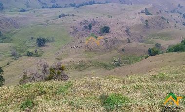 Vendo Finca productiva de 550 cuadras en venta Betulia, Antioquia