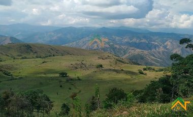 Vendo Finca productiva de 550 cuadras en venta Betulia, Antioquia