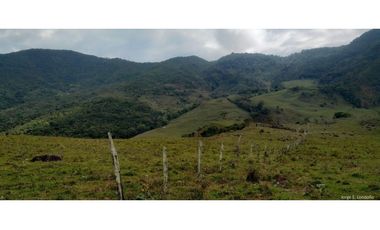 Vendo Finca productiva de 550 cuadras en venta Betulia, Antioquia