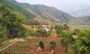 Vendo Finca productiva de 550 cuadras en venta Betulia, Antioquia