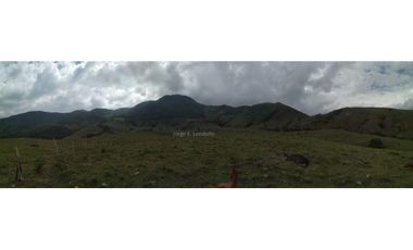Vendo Finca productiva de 550 cuadras en venta Betulia, Antioquia
