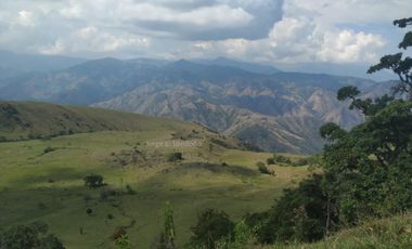 Vendo Finca productiva de 550 cuadras en venta Betulia, Antioquia