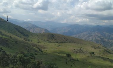Vendo Finca productiva de 550 cuadras en venta Betulia, Antioquia