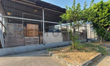 Venta de Local Comercial con Bodega Tipo Galpón en Urdesa