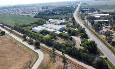 Venta de Galpones sobre Ruta 21 en Alvear