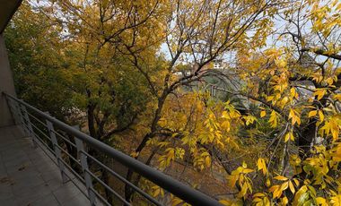 CALLE 20 ENTRE 59 Y 60