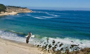 VACACIONES EN CAU CAU, AGUAS CLARAS Y SUAVE ARENA BLANCA