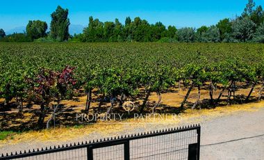 Campo agrícola en Buin – Alta proyección inmobiliaria y productiva