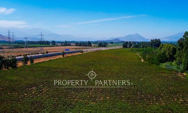 Campo agrícola en Buin – Alta proyección inmobiliaria y productiva
