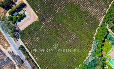 Campo agrícola en Buin – Alta proyección inmobiliaria y productiva