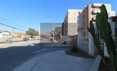 Departamento en Venta en Los Carrera con Punta Negra